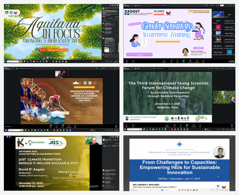 Network and Linkages with International and Local Organizations