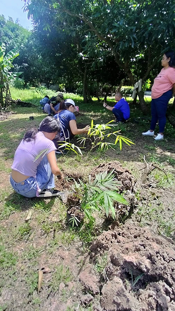 World Bamboo Day Celebration Bamboo Planting