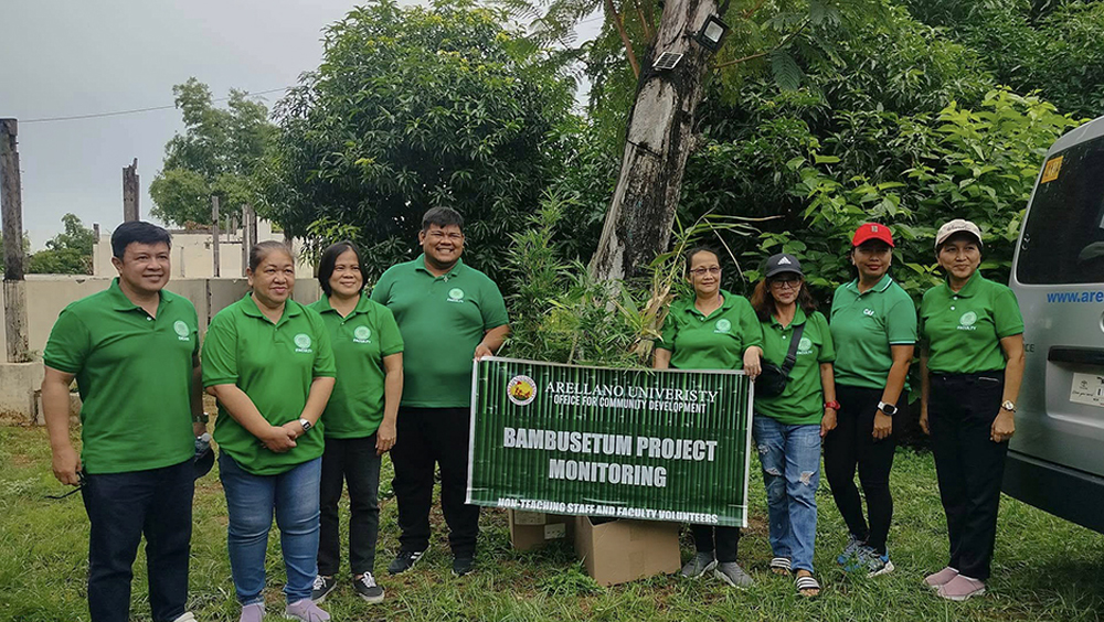 Bamboo Planting