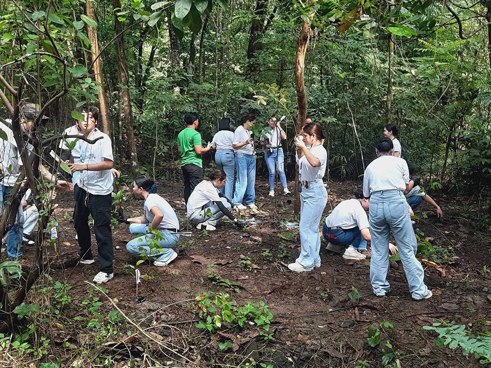 Tree Planting Activity at La Mesa Watershed