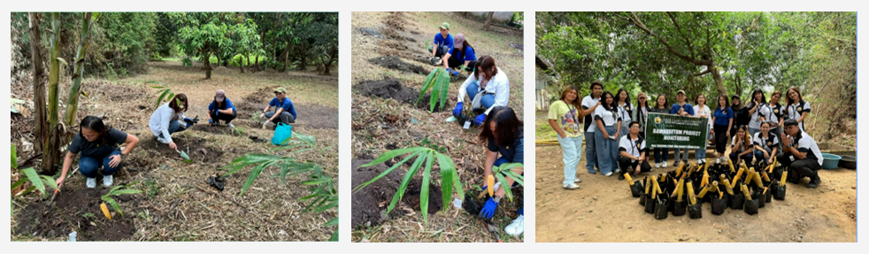 Bamboo Planting and Bamboo Propagation Activities 