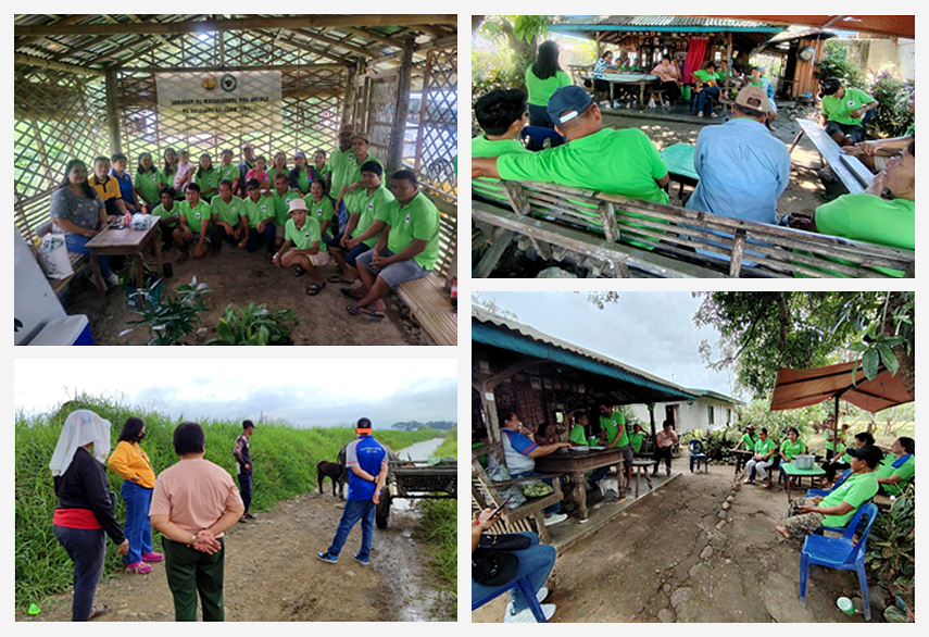 Monitoring activities of the Bulgarian Carabao Dispersal Project in San Miguel, Bulacan