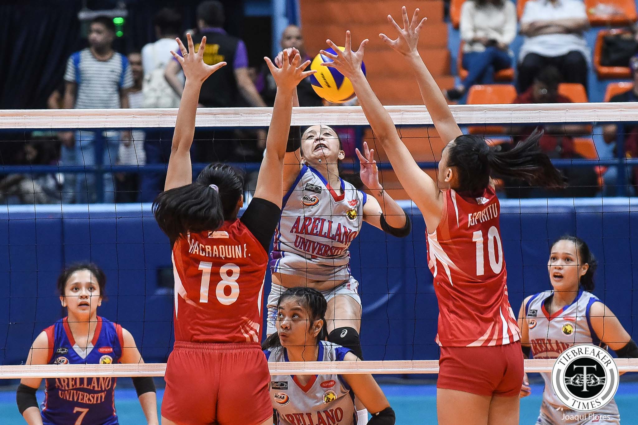 Womens Volleybal
